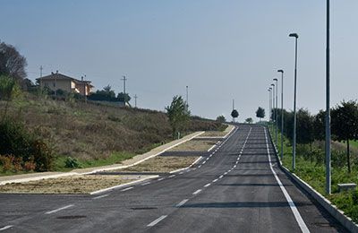 Bacchiocchi Group