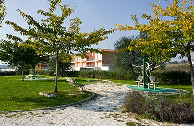 Bacchiocchi Group